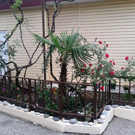 Orhidea Guest House 가그라 외부 사진
