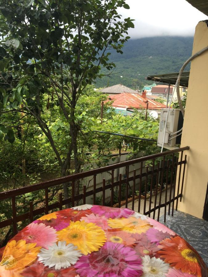 Orhidea Guest House 가그라 외부 사진